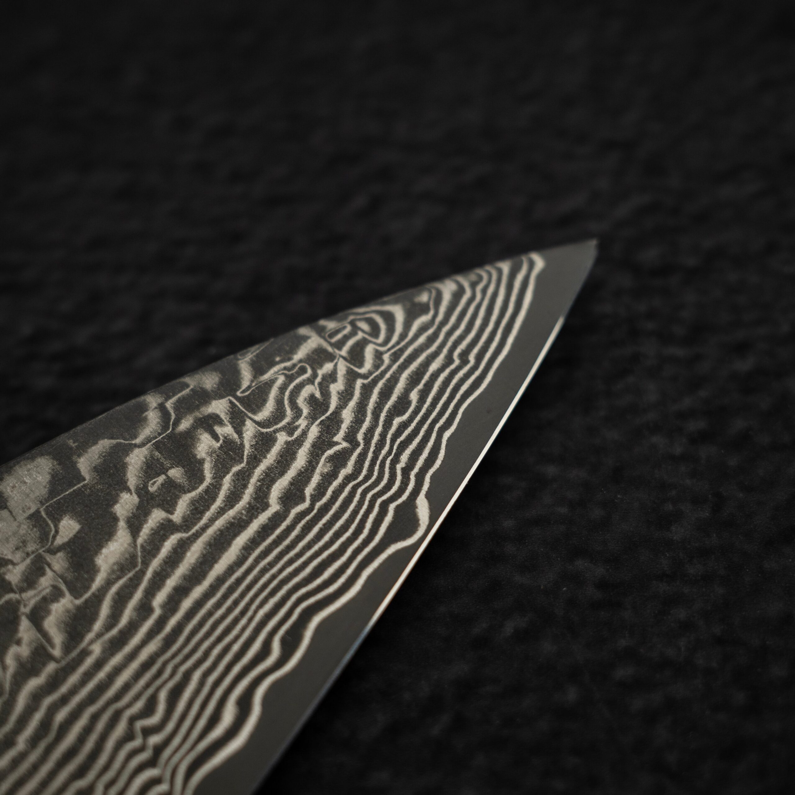 DSC_2194.jpg Takeshi Saji SG2 Black Damascus Gyuto 210mm with Wenge Saya, view 4