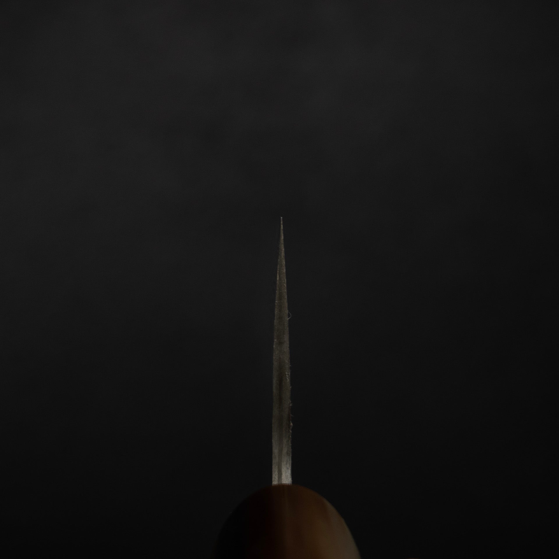 DSC_2202.jpg Takeshi Saji SG2 Black Damascus Gyuto 210mm with Wenge Saya, view 7