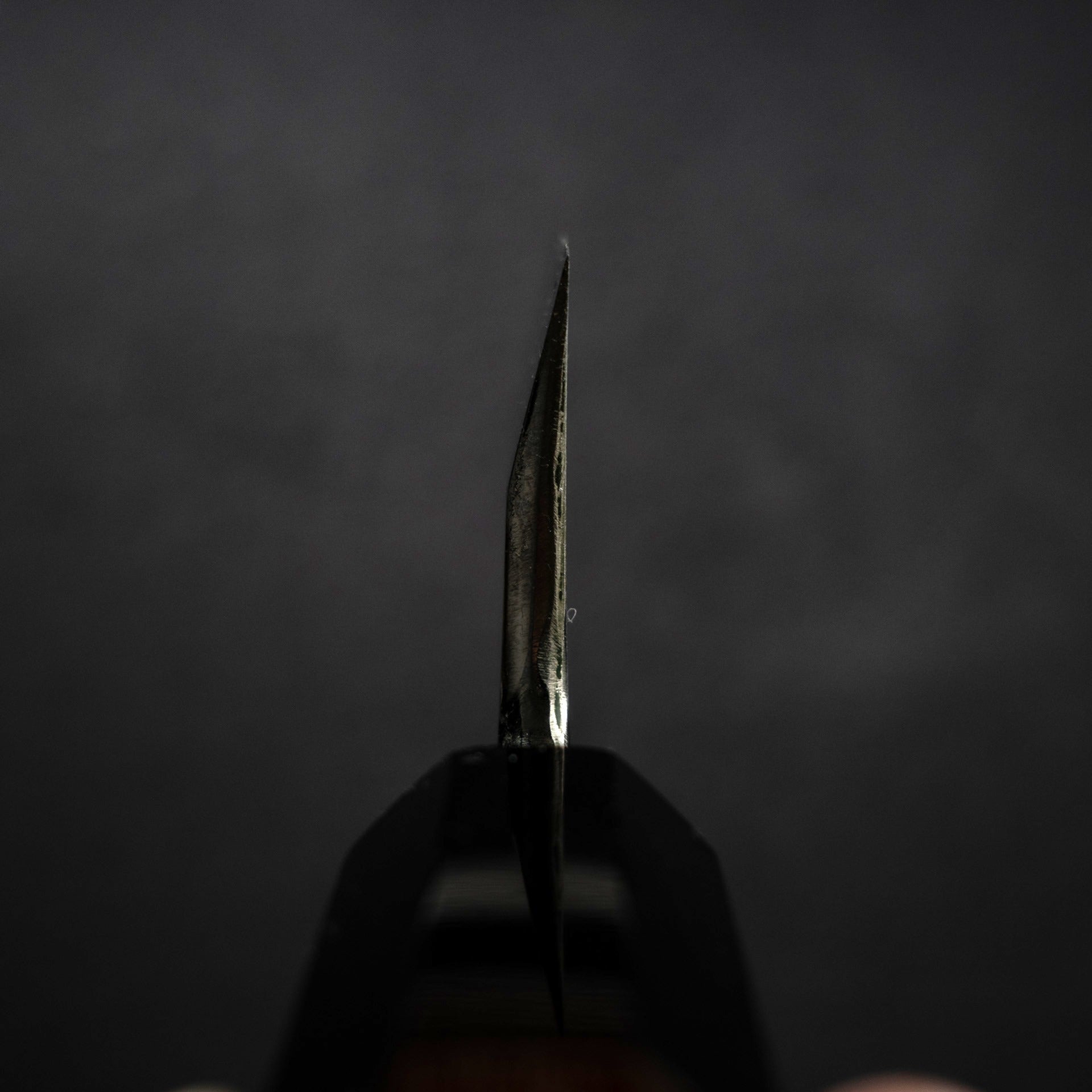 DSC_2432.jpg Nakagawa Ginsan K-tip Deba 180mm Mirror Polished Finish, view 8