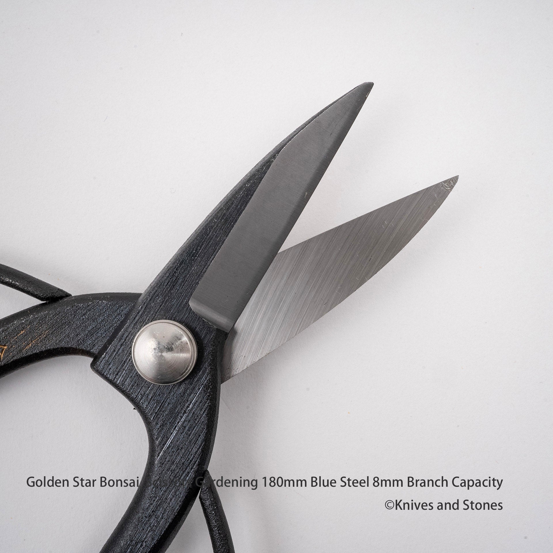 GoldenStarBonsaiScissorsGardening180mmBlueSteel8mmBranchCapacityD.jpg Golden Star "Okubo" Bonsai Scissors by Kinboshi 8mm Capacity, view 2