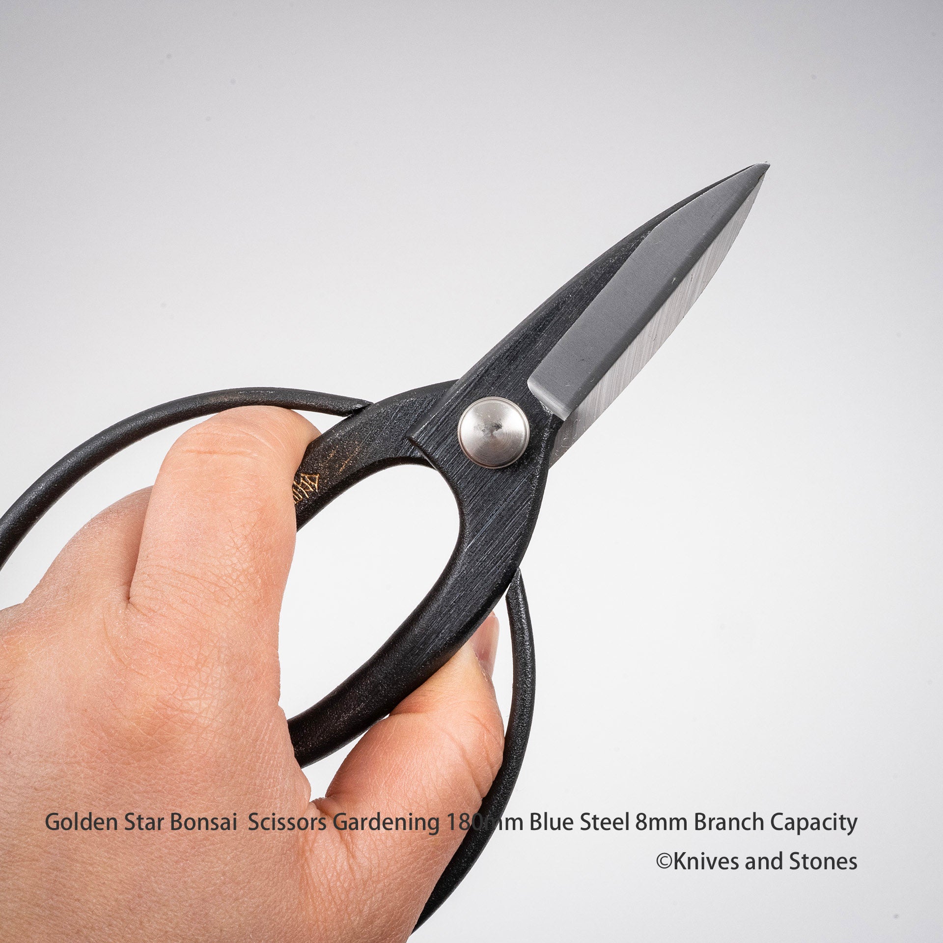 GoldenStarBonsaiScissorsGardening180mmBlueSteel8mmBranchCapacityF.jpg Golden Star "Okubo" Bonsai Scissors by Kinboshi 8mm Capacity, view 4