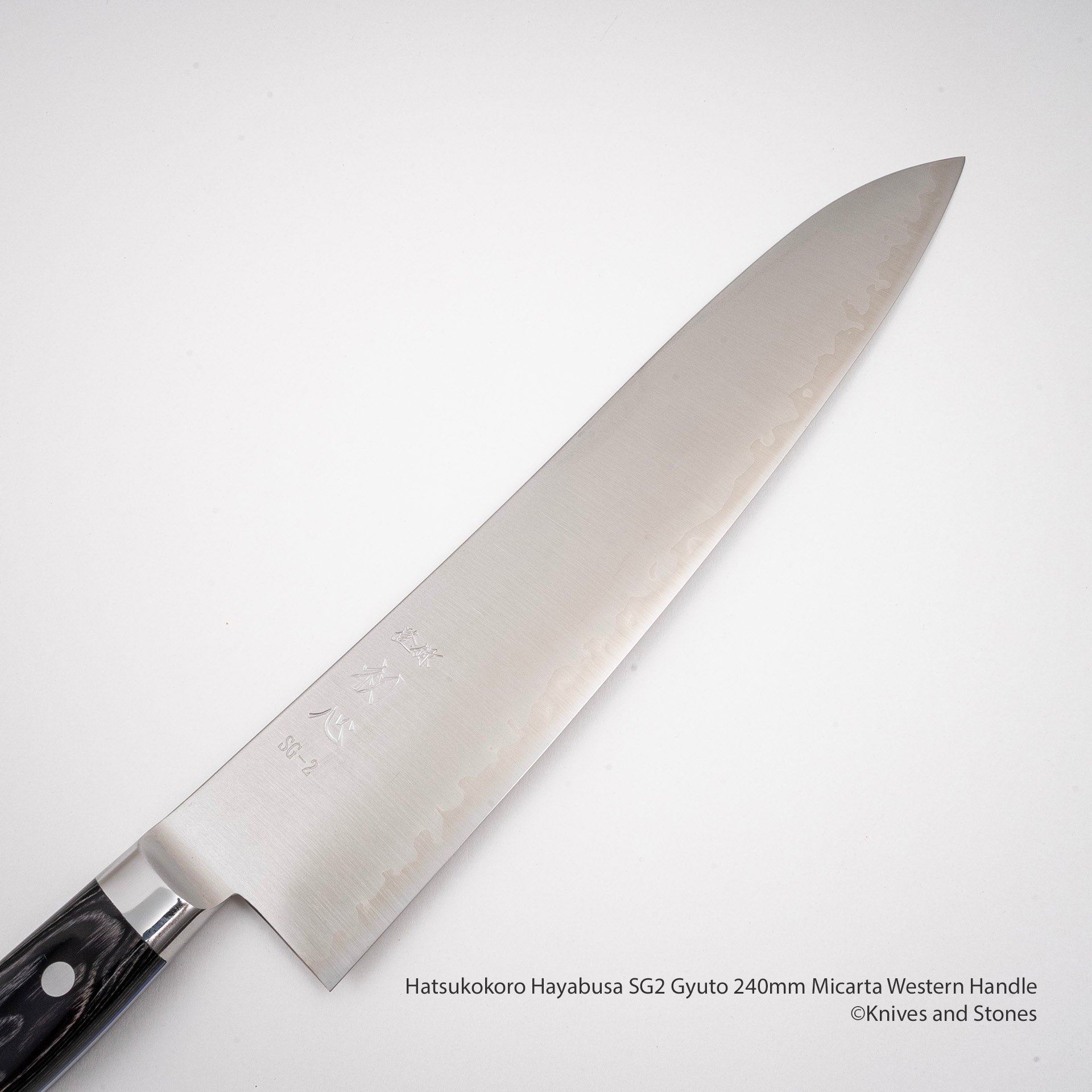 HatsukokoroHayabusaSG2Gyuto240mmMicartaWesternHandleJ.jpg Hatsukokoro Hayabusa SG2 Gyuto 240mm Micarta Western Handle, view 2
