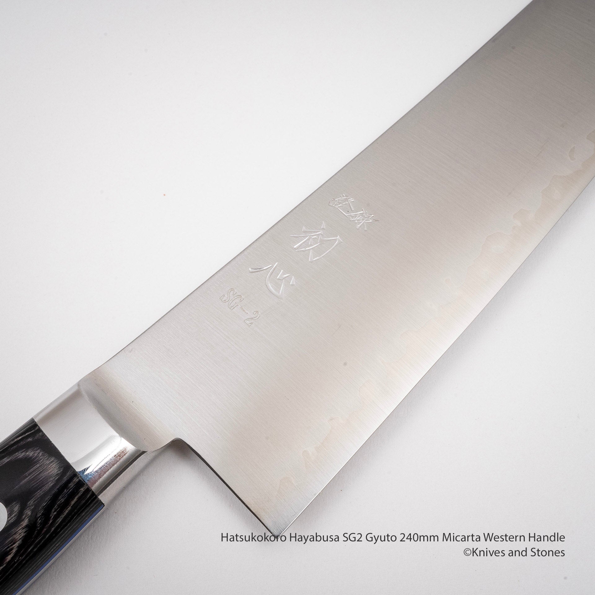 HatsukokoroHayabusaSG2Gyuto240mmMicartaWesternHandleK.jpg Hatsukokoro Hayabusa SG2 Gyuto 240mm Micarta Western Handle, view 3