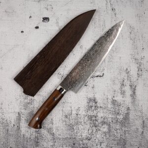 Takeshi Saji SG2 Diamond Damascus Gyuto 210mm Ironwood