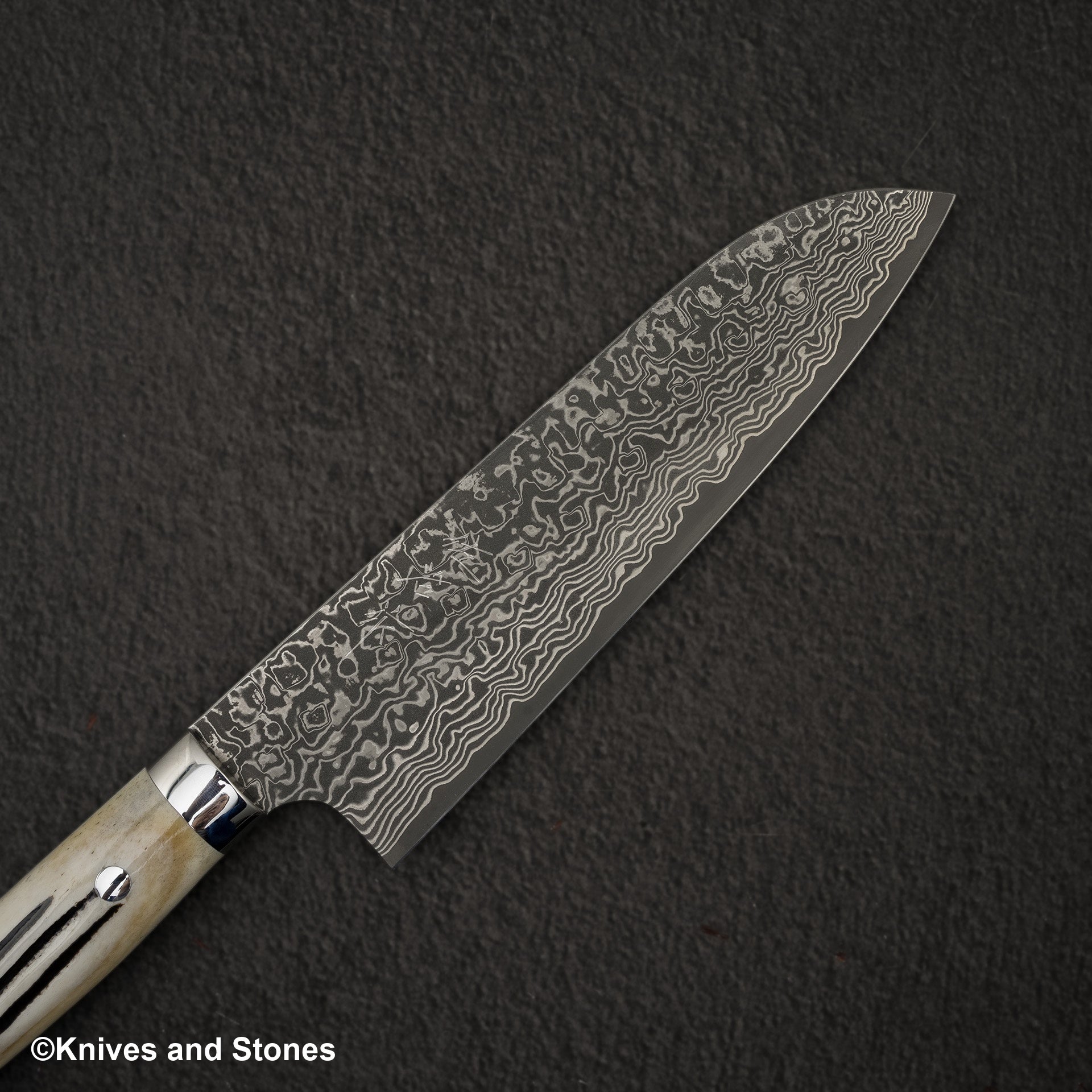 Takeshi Saji SG2 Black Damascus Santoku 180mm Stag Handle 20240907 03